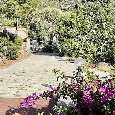 Occhiata * Scaglieri